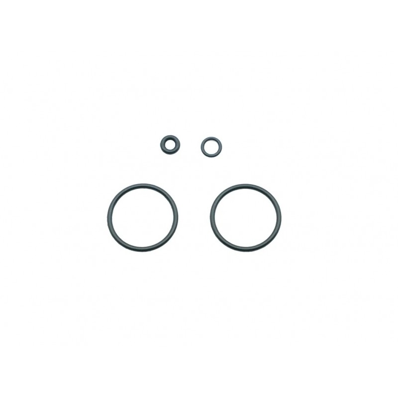 ACTION ARMY SET DI O-RING PER CAMERA DI POTENZA CO2 - AAC-C1