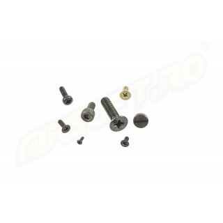 SET OF 12 SCREWS FOR HI CAPA SET OF 12 SCREWS FOR HI CAPA