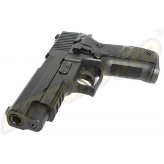 P226 RAIL P226 RAIL