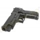 P226 RAIL