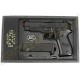 P226 RAIL