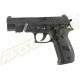 P226 RAIL