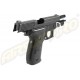 P226 RAIL