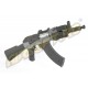 AK SPETSNATZ FS