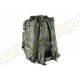 ASSAULT BACKPACK - WOODLAND