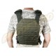 VESTA TACTICA - LAZER CARRIER - GREEN