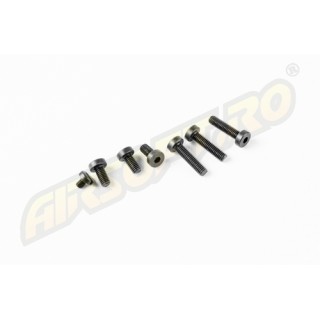 RETRO ARMS SET DI VITI PER GEARBOX RETRO ARMS V3 RETRO ARMS SET DI VITI PER GEARBOX RETRO ARMS V3