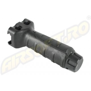 MANER TACTIC PENTRU RIS