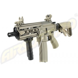 MANER TACTIC PENTRU RIS