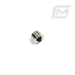 SEALING PLUG 1/8" NPT
