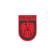 PATCH CAUCIUCAT - AUSTRIA - BLACKMEDIC