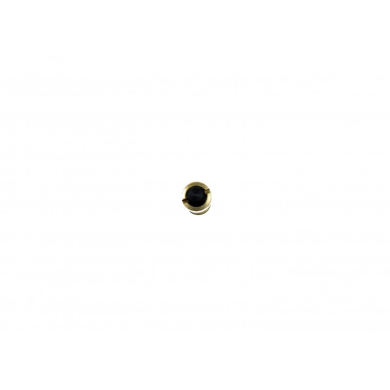 VALVOLA DI RILASCIO DEL CARICATORE DI GAS TRINITY