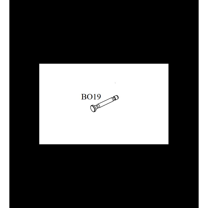 DISASSEMBLY PIN - CZ EVO 3A1