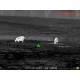 WRAITH MINI 2-16X35 THERMAL RIFLESCOPE WRAITH MINI 2-16X35 THERMAL RIFLESCOPE