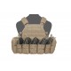 WARRIOR ASSAULT SYSTEMS DCS AK PLATE CARRIER - COYOTE 