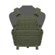 WARRIOR ASSAULT SYSTEMS DCS AK PLATE CARRIER - VERDE OD 