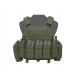 WARRIOR ASSAULT SYSTEMS DCS AK PLATE CARRIER - VERDE OD 