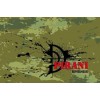 PIRANI